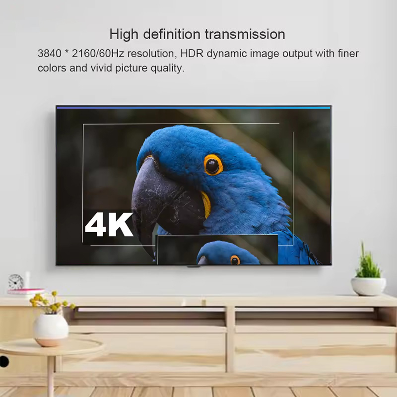 4K 60Hz DisplayPort To HDMI Ex - Hdmi Cable ulasan dan harga